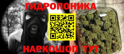 ПСИЛОЦИБИНОВЫЕ ГРИБЫ Канаш
