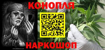 ПСИЛОЦИБИНОВЫЕ ГРИБЫ Канаш