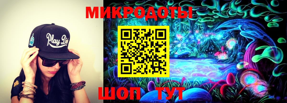 Галлюциногенные грибы Cubensis  Вход с VPN  Краснодар  Псилоцибиновые грибы MAGIC MUSHROOMS 